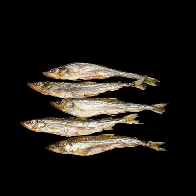 Корюшка икряная